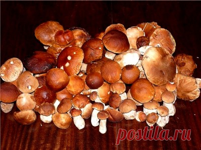 Маринованные боровики