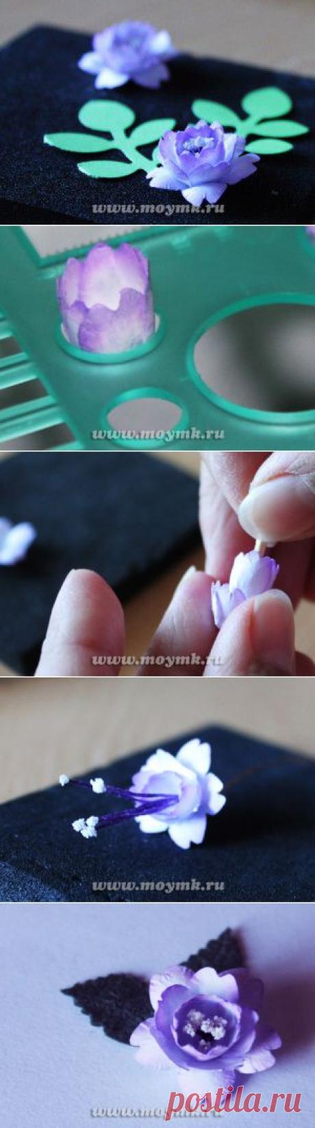 Как сделать цветы для скрапбукинга. 
Одна из разновидностей декора фотоальбомов, скрапбукинг, это прежде всего направление творчества, стремление к индивидуальному украшению, непохожему на других. Хорошим подспорьем в этом станут искусственные цветы для скрапбукинга, выполненные своими руками

Подробный мастер-класс по созданию цветов из листа офисной бумаги