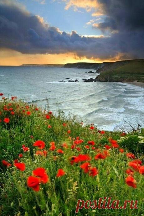 i (532×800)