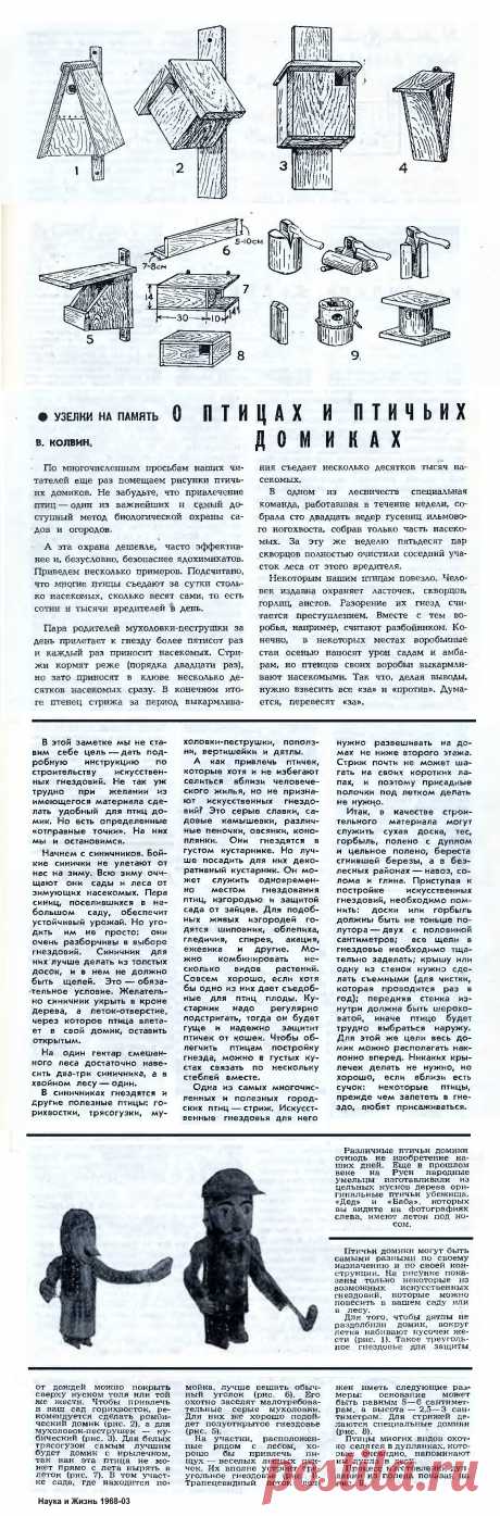 О птицах и птичьих домиках