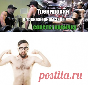 Программа тренировок для новичков | Sport My Way | Sport - My Way