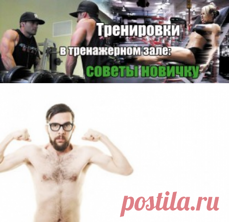 Программа тренировок для новичков | Sport My Way | Sport - My Way