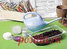 Цветы | Советы по выращиванию и красивые фото на Постиле