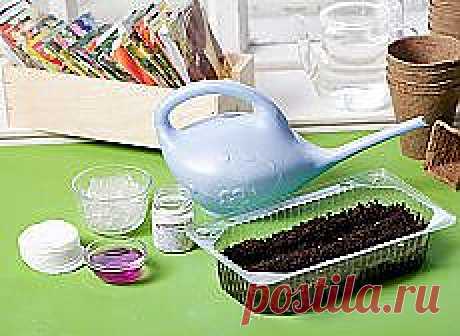 Цветы | Советы по выращиванию и красивые фото на Постиле