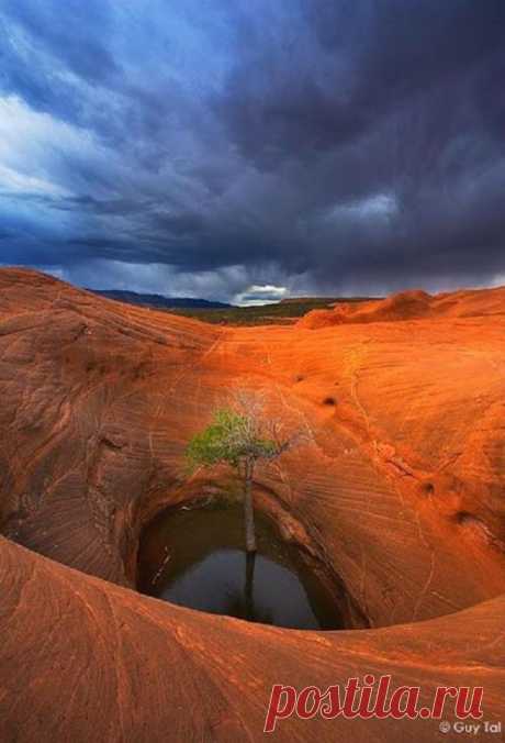 Beauty...