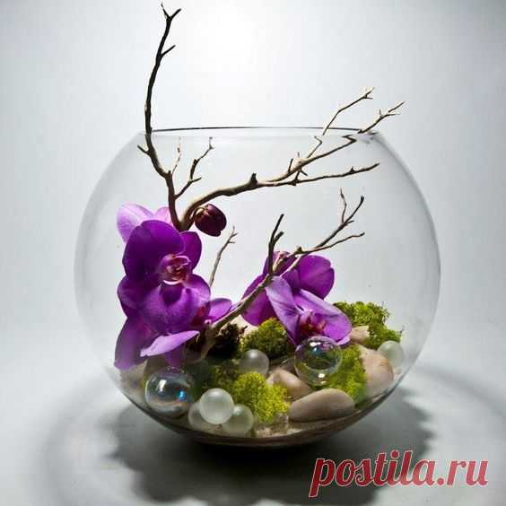 (12) Pinterest