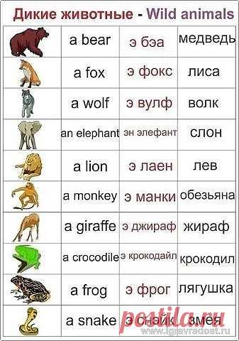 (1) Одноклассники