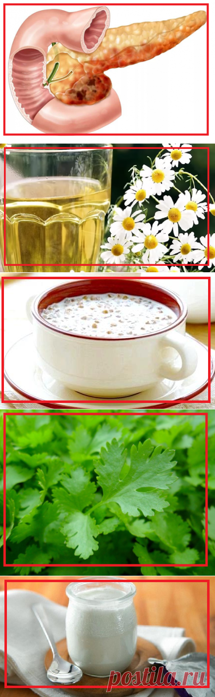 Как восстановить здоровье поджелудочной железы за 3 недели народными средствами | моя записная книжка | Яндекс Дзен