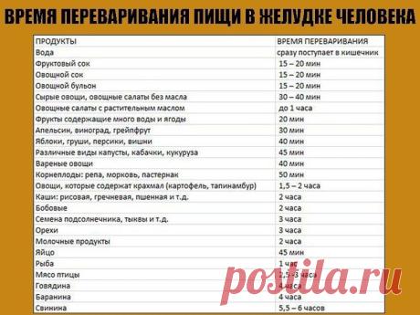 ВРЕМЯ ПЕРЕВАРИВАНИЯ ПИЩИ В ЖЕЛУДКЕ ЧЕЛОВЕКА
Для того чтобы быть здоровым и долго жить, очень важно знать и учитывать время переваривания пищи в желудке. По утверждению медиков, человек, который, питаясь, не учитывает времени переваривания еды, носит в себе килограммы гниющей пищи, зарабатывает множество болезней и сокращает себе жизнь.
Показать полностью…