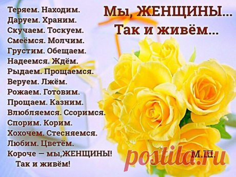 image (1024×768)