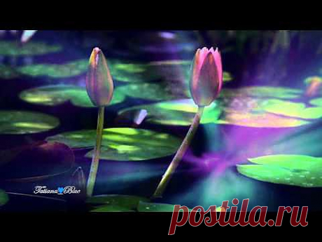 ▶ Giovanni Marradi - Peacefully - YouTube