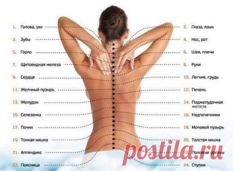 КАК ПОЗВОНОЧНИК СВЯЗАН С НАШИМИ ЭМОЦИЯМИ И ЗДОРОВЬЕМ

Если современная медицина подразумевает лечение больных органов и систем по отдельности, то альтернативная холистическая медицина в точности наоборот советует лечить организм человека как единую систему. Тенденция же современной науки - соединить эти два направления. Что из этого может получиться, и как работает диагностика по позвоночнику сегодня - рассказывает эксперт школы оздоравливающих практик Wu Ming Dao Анна Вла...
