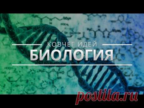 «Ковчег идей» 

Что, если собрать в одном месте самые важные научные знания и представления? Что, если свести все, что с таким трудом накапливало человечество, к самой компактной форме знания, к главным идеям? Ведущие российские ученые выбирают самое важное, что известно на сегодня в их области научного знания. 

1. Самые важные идеи об эволюции
2. Самые важные идеи о материи и вселенной