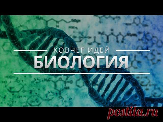 «Ковчег идей» 

Что, если собрать в одном месте самые важные научные знания и представления? Что, если свести все, что с таким трудом накапливало человечество, к самой компактной форме знания, к главным идеям? Ведущие российские ученые выбирают самое важное, что известно на сегодня в их области научного знания. 

1. Самые важные идеи об эволюции
2. Самые важные идеи о материи и вселенной