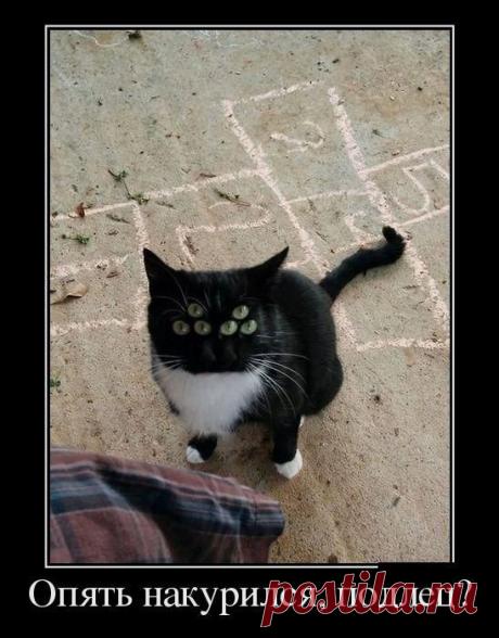 Владислав Фомин – Google+