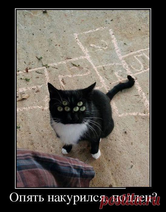 Владислав Фомин – Google+