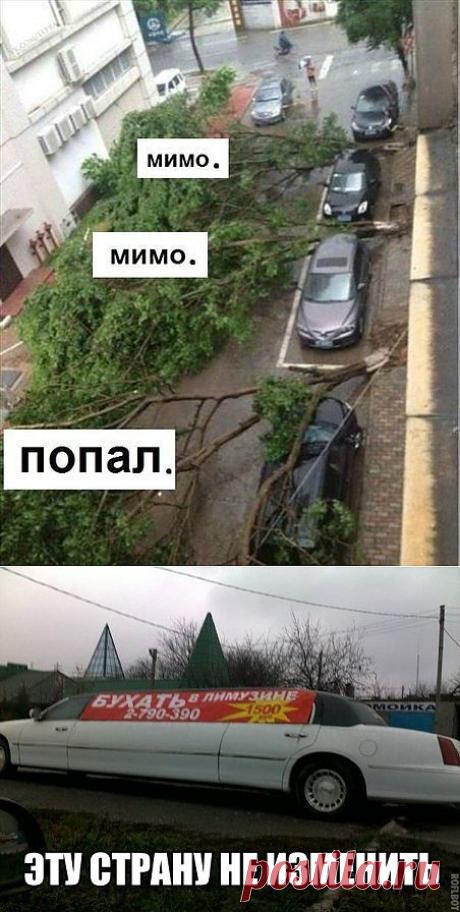 Весёлые картинки (4) - www.POFIG.COM - форум пофигистов