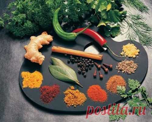 Секреты специй - что к чему подходит


Для мяса: красный, черный, душистый перец или гвоздика, майоран, тимьян, тмин, куркума, лук, орегано.

Для птицы: тимьян, майоран, розмарин, шалфей, чабрец, базилик.

Для рыбы: лавровый лист, белый перец, имбирь, душистый перец, лук, кориандр, перец чили, горчица, укроп, тимьян. ........................