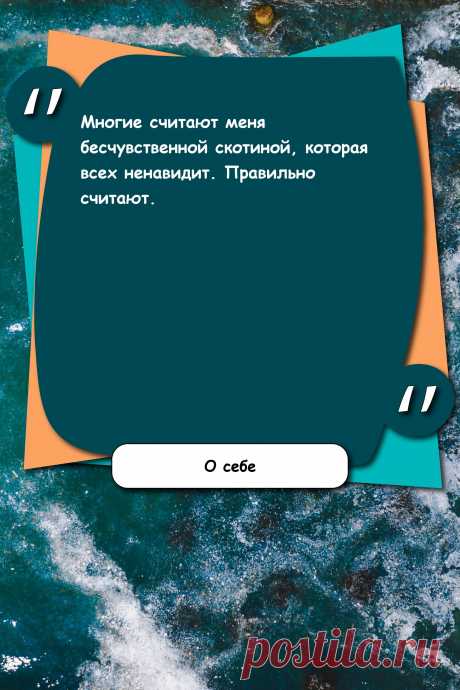 Цитата про «Себя» — Многие считают меня бесчувственной скотиной,…