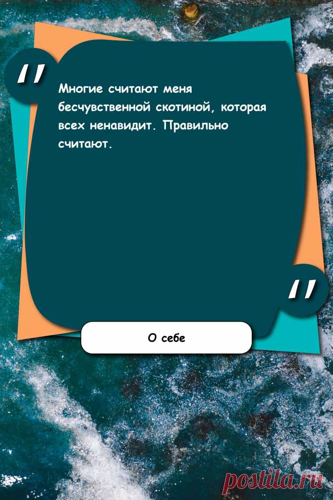 Цитата про «Себя» — Многие считают меня бесчувственной скотиной,…