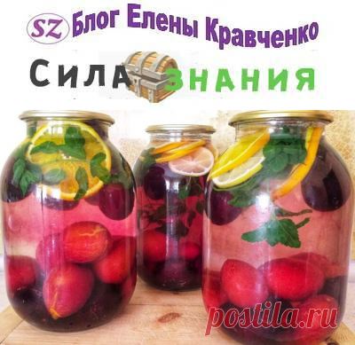 Компот Мохито из сливы с мятой и лимоном на зиму