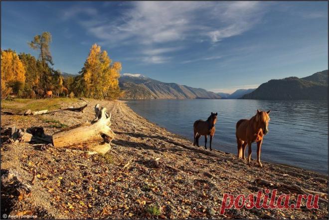 (+2) Наша прекрасная Россия