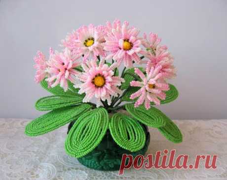 Одноклассники