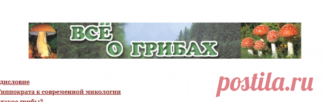 Всё о грибах. Энциклопедия