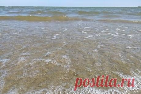 Эколог развеял мифы об опасности купания в Черном море после разрушения ГЭС. Эколог, доцент кафедры физической географии мира и геоэкологии МГУ имени М. В. Ломоносова Алексей Медведков развеял мифы об опасности купания в Черном море после разрушения Каховской ГЭС. Он указал, что загрязненная вода из Днепра, поступающая в акваторию после подрыва дамбы, не достигнет краснодарских курортов.