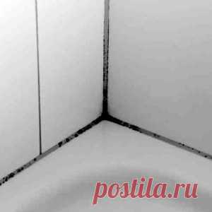 Как избавиться от грибка и плесени в ванной комнате. Самое эффективное натуральное средство - МирТесен
