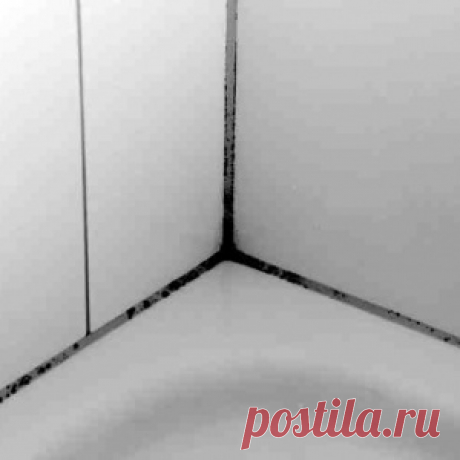 Как избавиться от грибка и плесени в ванной комнате. Самое эффективное натуральное средство - МирТесен