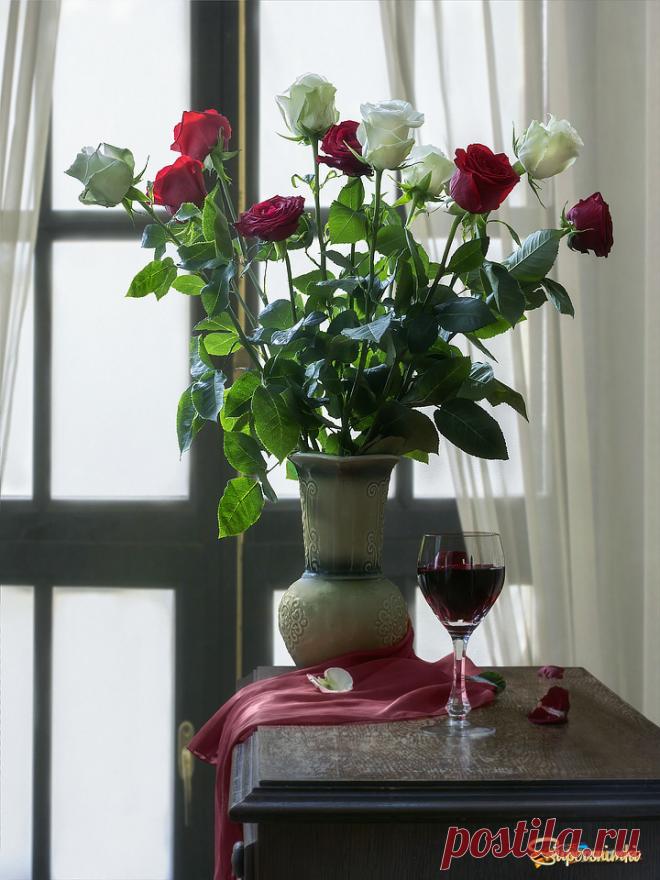 Натюрморт с букетом красных и белых роз | Фотосайт СуперСнимки.Ру