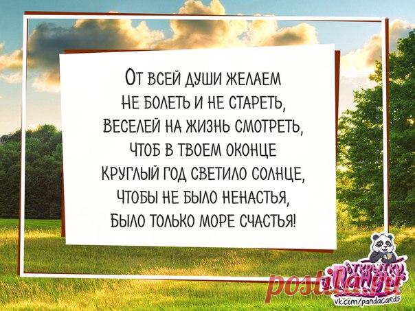 #пожелание@pandacards