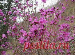 Одноклассники