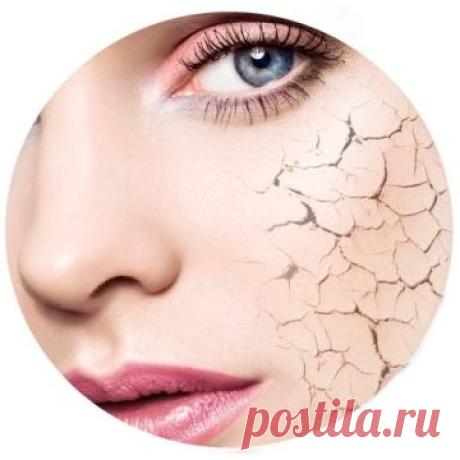 Какие масла использовать для сухой кожи