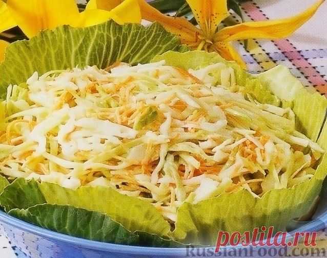 Рецепт: Салат из капусты с морковью на RussianFood.com