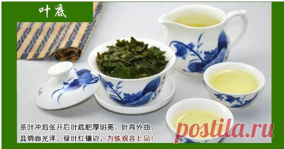 Universe of goods - Buy "hot sale anxi tieguanyin oolong tea 30g in three vacuum bags bag/10g real Chinese tea tie guan yin fragrance wulong" for only 33.99 USD.