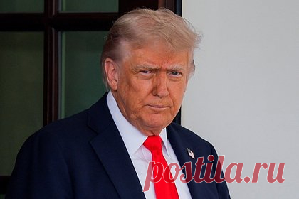 Обвинения Маска в причастности Трампа к педофилии оценили