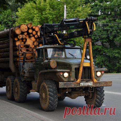🚛 Магазин оригинальных запчастей на Урал оптом и в розницу
🔟 Широкий ассортимент 💖 Приятные цены 🎁 Скидки и Акции
🌍 Быстрая доставка по Москве, всей России и СНГ 📞 +7(3513)29-85-41