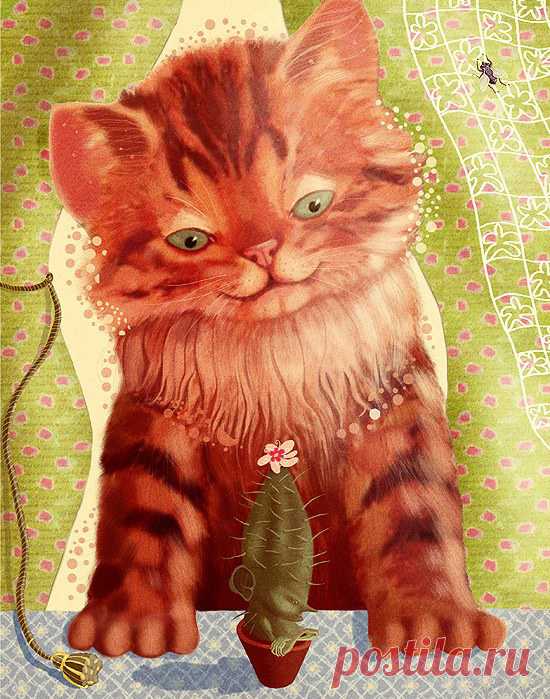 Фото Котёнок с кактусом, страница