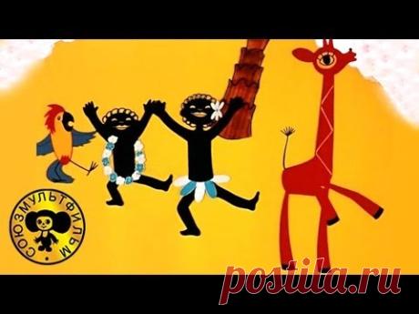 Мультфильмы: Катерок
