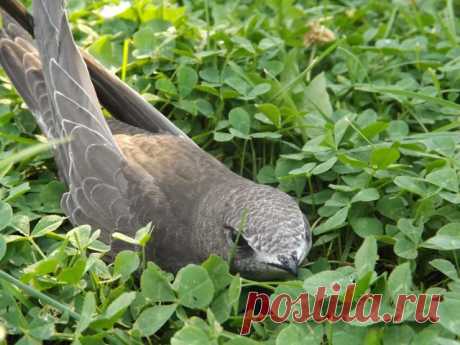 Ирина Ларионова (лялюга)
35 лет, Россия, Полесск