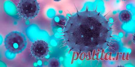 Вирусы растений помогают бороться со злокачественными опухолями | Клиники «Евроонко»