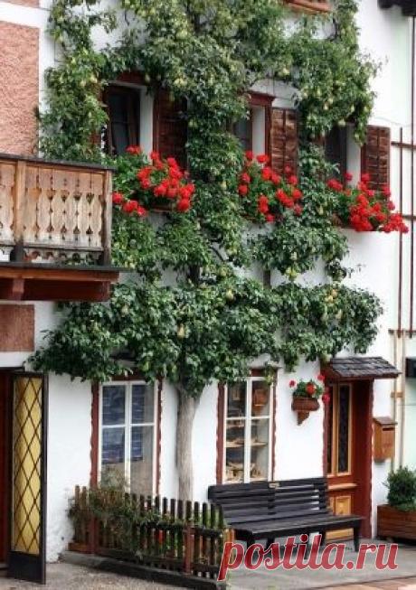 дворцы и дома