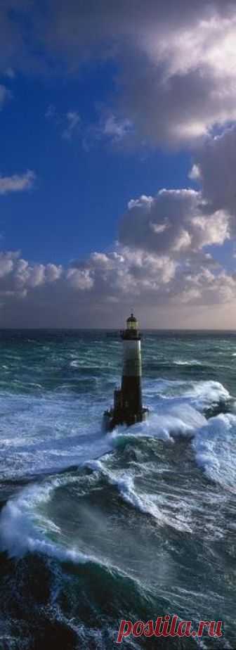 FARO.....❤