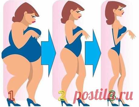 Диета «ЛЕСЕНКА»: худеем поэтапно — ХОЗЯЮШКА24