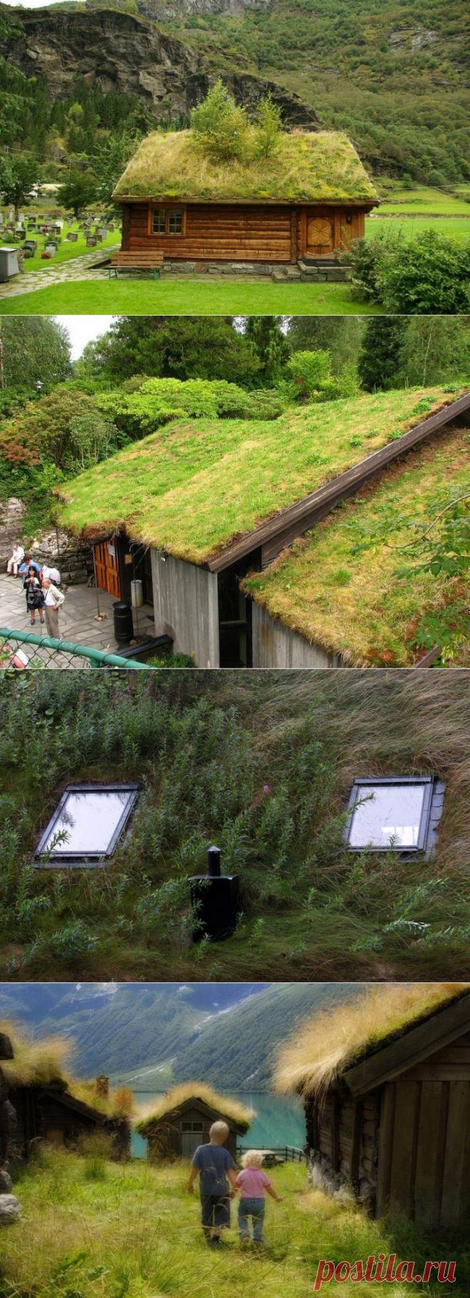 (+1) тема - Визитная карточка Норвегии! | УДИВИТЕЛЬНОЕ