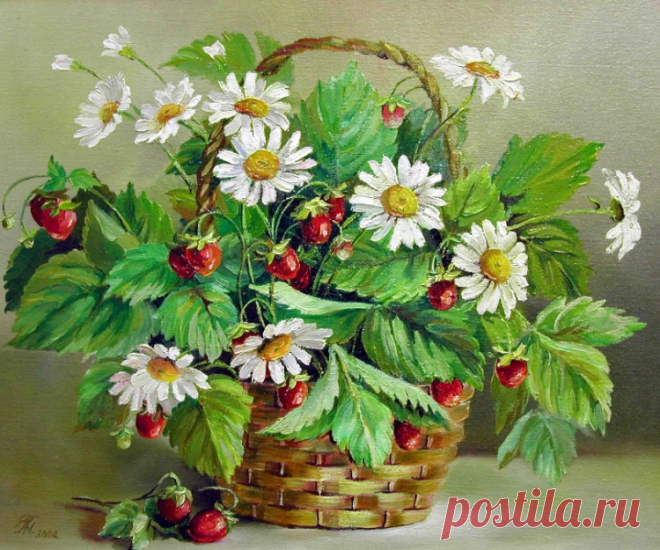 Flowers / aklaxoma