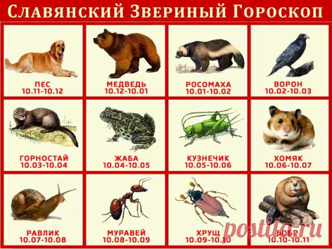 Славянский Звериный Гороскоп | Гороскоп