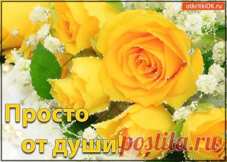 Картинки с Розами